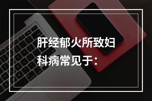 肝经郁火所致妇科病常见于：