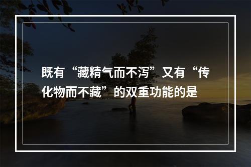 既有“藏精气而不泻”又有“传化物而不藏”的双重功能的是