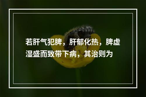 若肝气犯脾，肝郁化热，脾虚湿盛而致带下病，其治则为