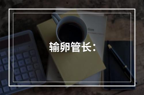 输卵管长：