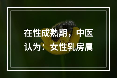 在性成熟期，中医认为：女性乳房属