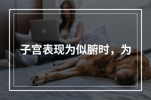 子宫表现为似腑时，为