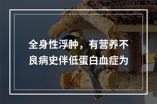 全身性浮肿，有营养不良病史伴低蛋白血症为