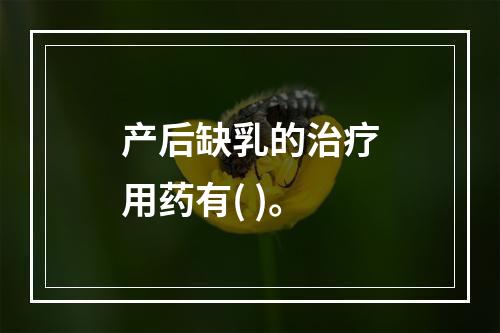 产后缺乳的治疗用药有( )。