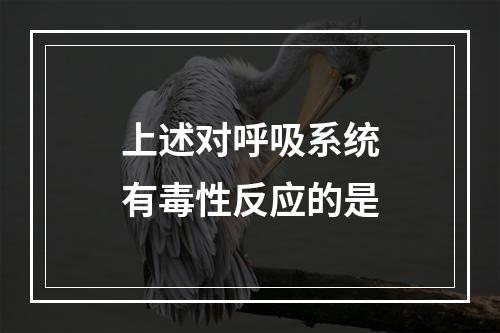 上述对呼吸系统有毒性反应的是