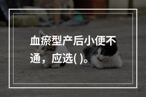 血瘀型产后小便不通，应选( )。