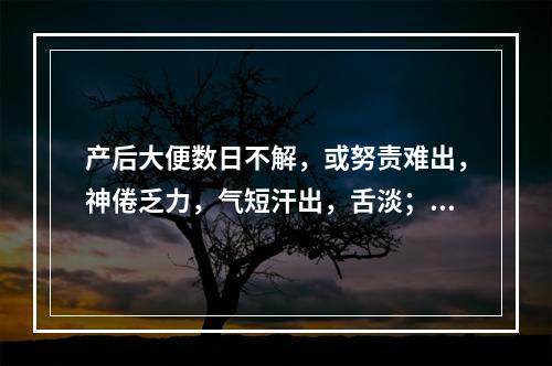 产后大便数日不解，或努责难出，神倦乏力，气短汗出，舌淡；苔薄