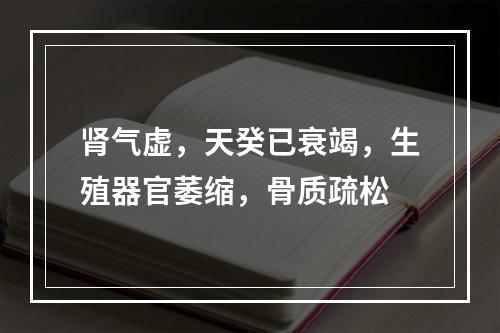 肾气虚，天癸已衰竭，生殖器官萎缩，骨质疏松