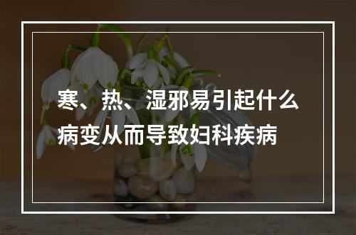 寒、热、湿邪易引起什么病变从而导致妇科疾病