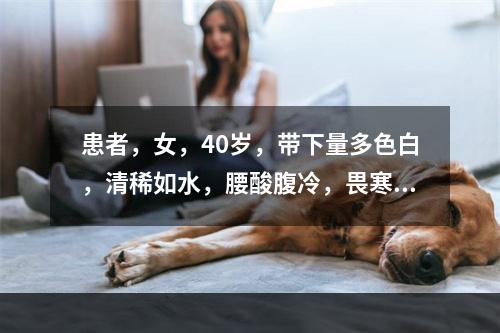 患者，女，40岁，带下量多色白，清稀如水，腰酸腹冷，畏寒，夜