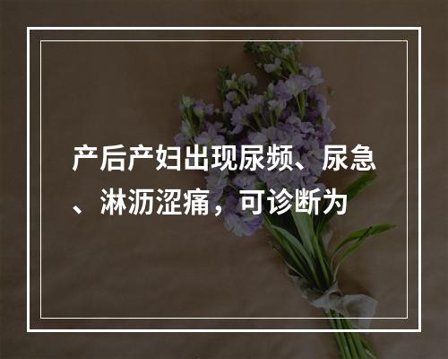 产后产妇出现尿频、尿急、淋沥涩痛，可诊断为