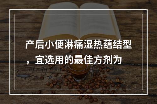 产后小便淋痛湿热蕴结型，宜选用的最佳方剂为