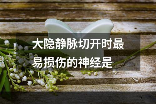 大隐静脉切开时最易损伤的神经是