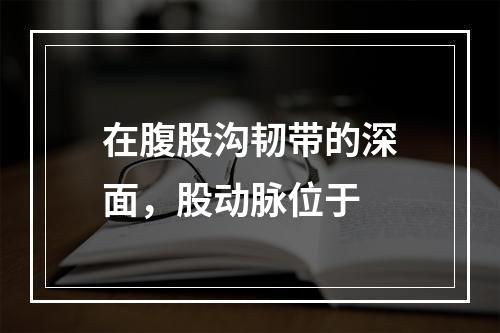 在腹股沟韧带的深面，股动脉位于