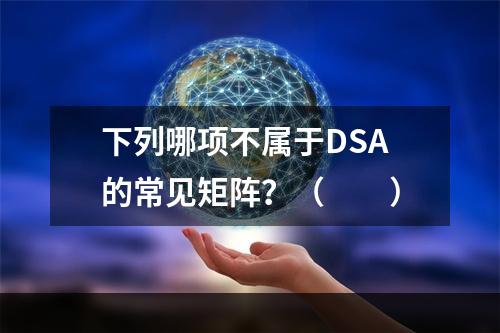 下列哪项不属于DSA的常见矩阵？（　　）