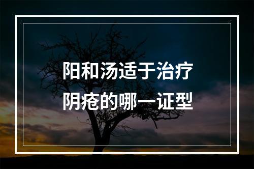 阳和汤适于治疗阴疮的哪一证型