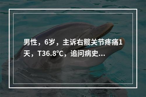 男性，6岁，主诉右髋关节疼痛1天，T36.8℃，追问病史1天