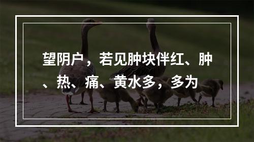 望阴户，若见肿块伴红、肿、热、痛、黄水多，多为