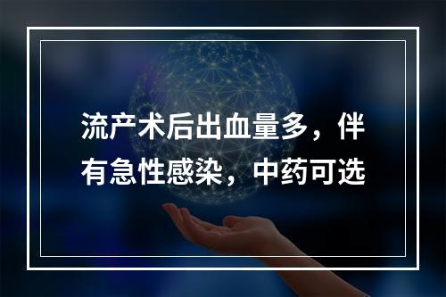 流产术后出血量多，伴有急性感染，中药可选