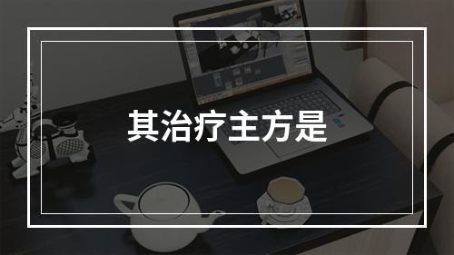 其治疗主方是