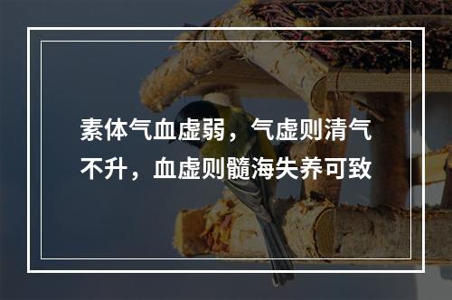 素体气血虚弱，气虚则清气不升，血虚则髓海失养可致