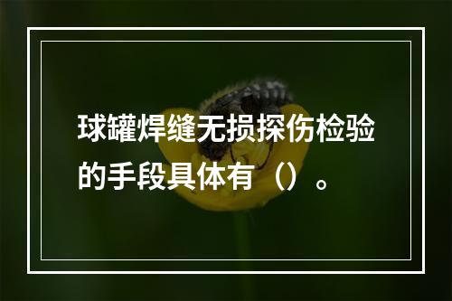 球罐焊缝无损探伤检验的手段具体有（）。