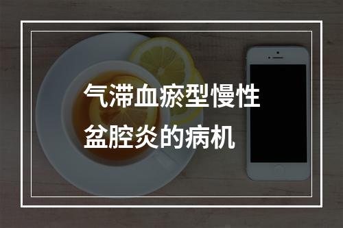 气滞血瘀型慢性盆腔炎的病机