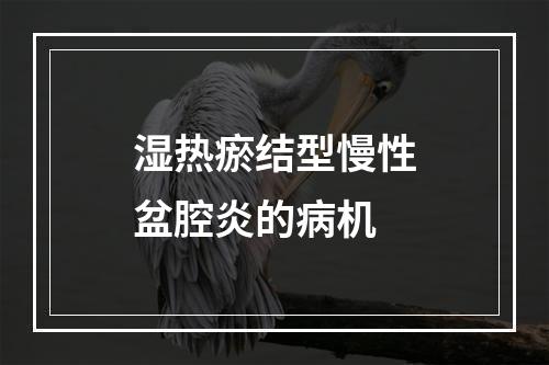 湿热瘀结型慢性盆腔炎的病机