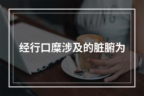 经行口糜涉及的脏腑为