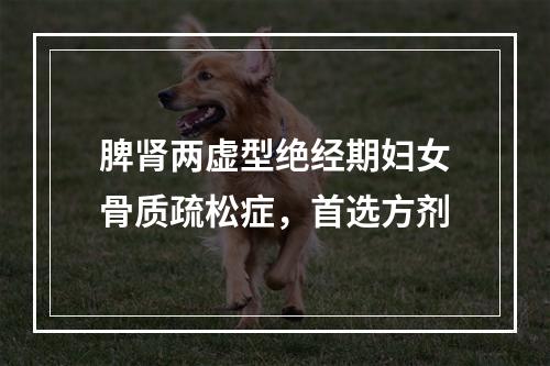 脾肾两虚型绝经期妇女骨质疏松症，首选方剂