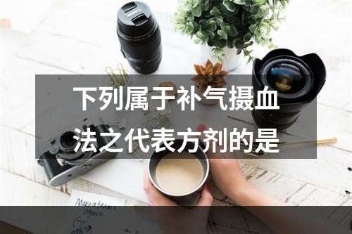 下列属于补气摄血法之代表方剂的是