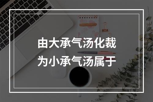 由大承气汤化裁为小承气汤属于