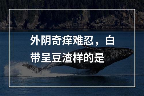 外阴奇痒难忍，白带呈豆渣样的是