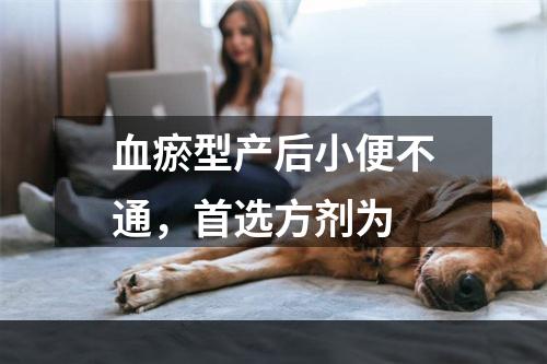 血瘀型产后小便不通，首选方剂为