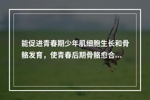 能促进青春期少年肌细胞生长和骨骼发育，使青春后期骨骼愈合的是