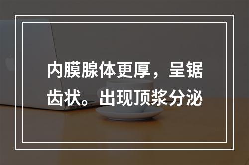 内膜腺体更厚，呈锯齿状。出现顶浆分泌