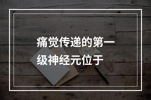 痛觉传递的第一级神经元位于