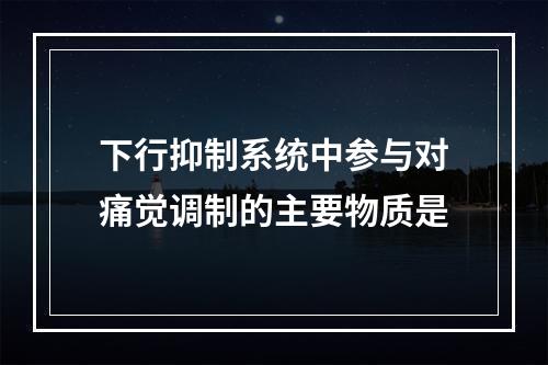 下行抑制系统中参与对痛觉调制的主要物质是