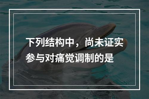 下列结构中，尚未证实参与对痛觉调制的是