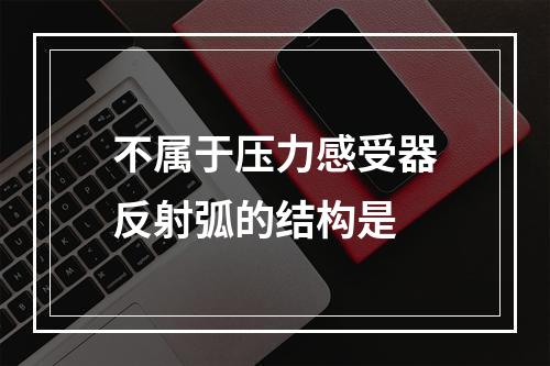 不属于压力感受器反射弧的结构是