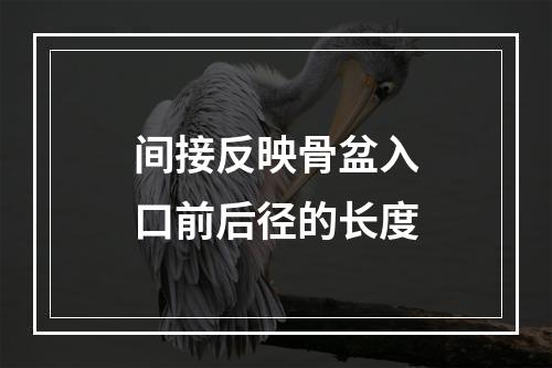 间接反映骨盆入口前后径的长度