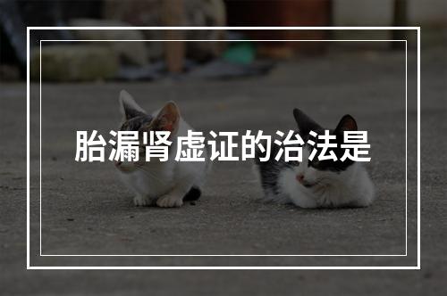 胎漏肾虚证的治法是