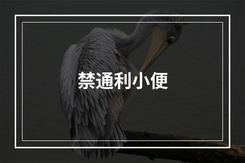 禁通利小便