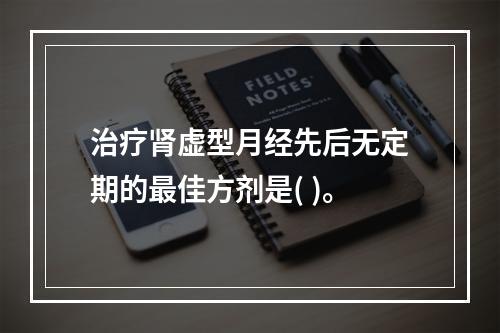 治疗肾虚型月经先后无定期的最佳方剂是( )。