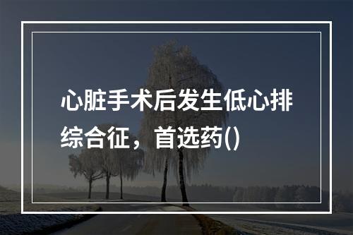 心脏手术后发生低心排综合征，首选药()