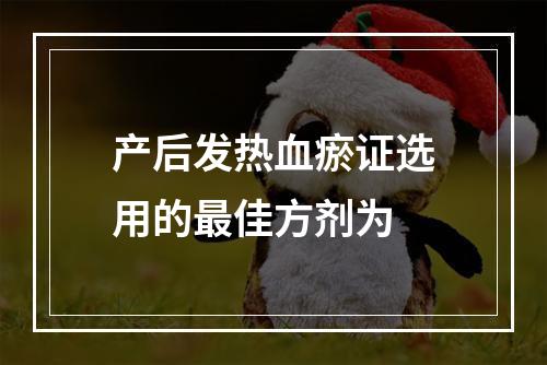 产后发热血瘀证选用的最佳方剂为