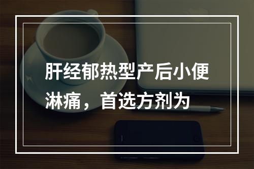 肝经郁热型产后小便淋痛，首选方剂为