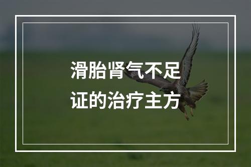 滑胎肾气不足证的治疗主方