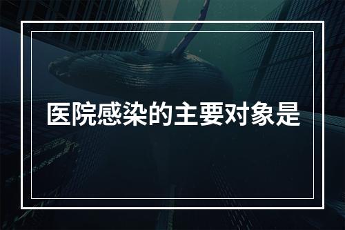 医院感染的主要对象是