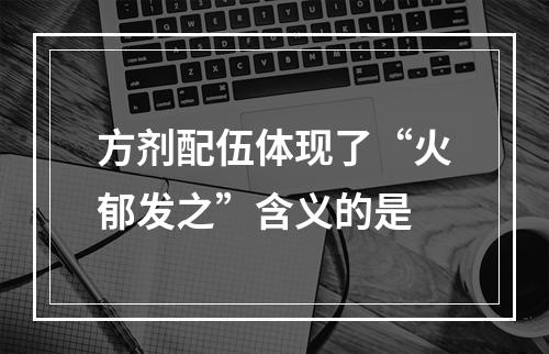 方剂配伍体现了“火郁发之”含义的是